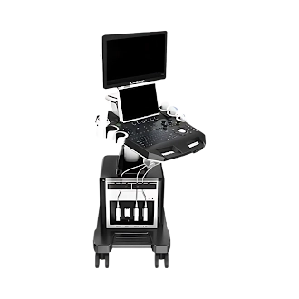 Diagnostic Digital Color Ultrasound LBN-DDCU110